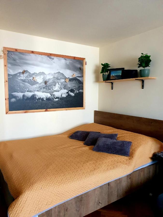 Apartament Izba W Centrum Zakopane Exterior foto